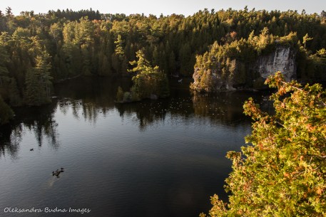 view from Lookout at Rockwood Conservation Area