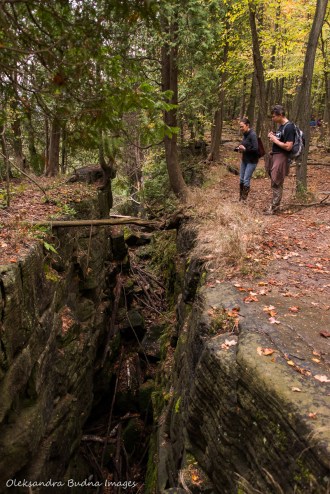 fissures at Kelso Conservation Area