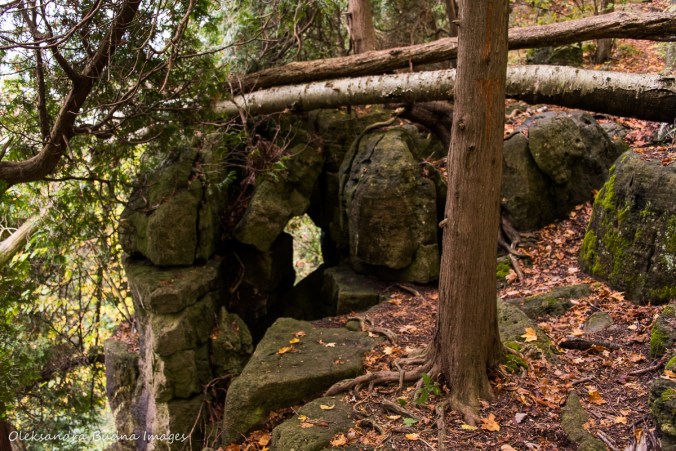 fissures at Kelso Conservation Area