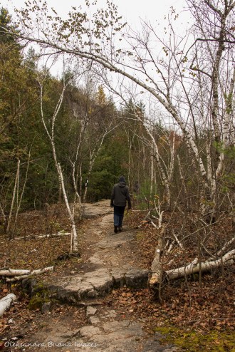 hiking at Kelso Conservation Area