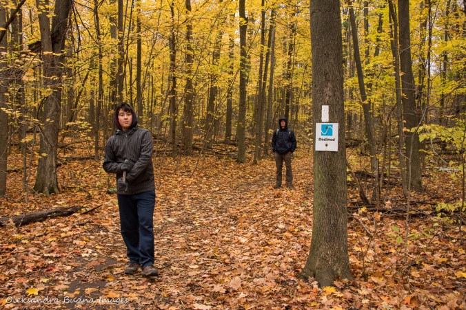 Declined trail at Kelso Cpnservation Area