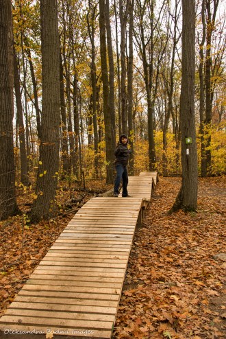 trail at Kelso Conservation Area
