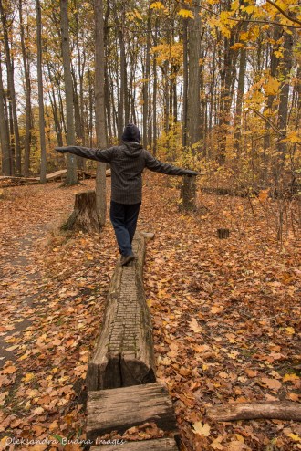 trails at Kelso Conservation Area