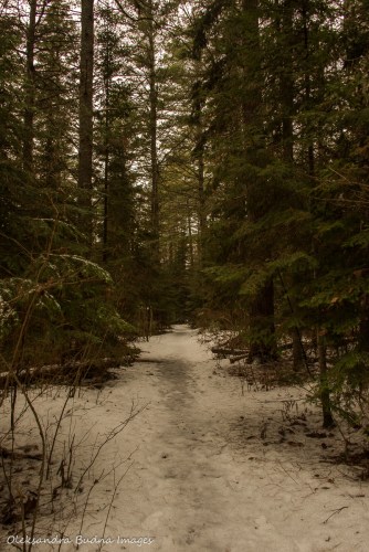 Two Rivers trail in Algonquin