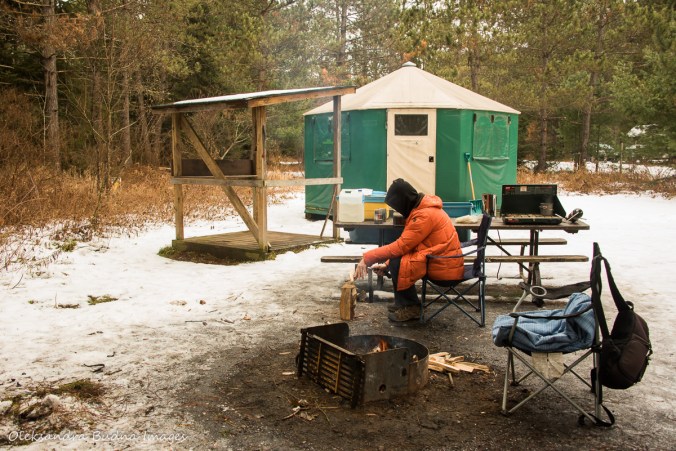 yurt 34 in Algonquin