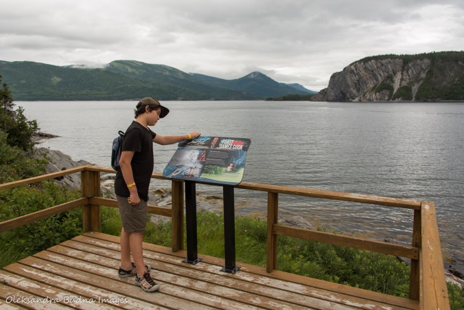 interpretive panel with the view of Bonne Bay in Norris Point in Newfoundland