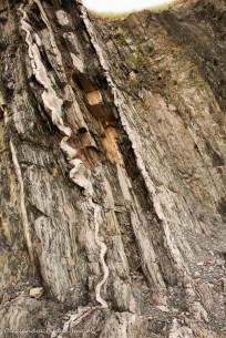 rock layers at Green Point in Gros Morne Park in Newfoundland
