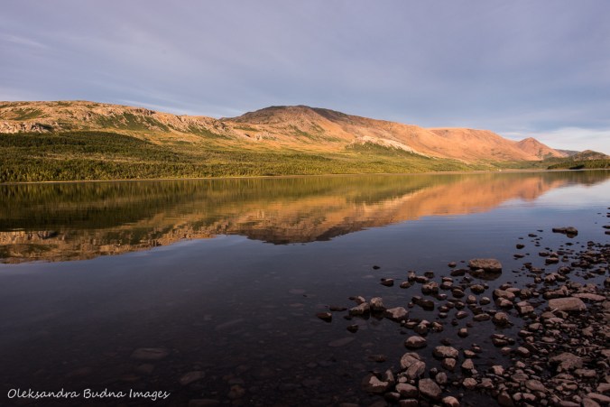 Tablelands across the Trout River Pond