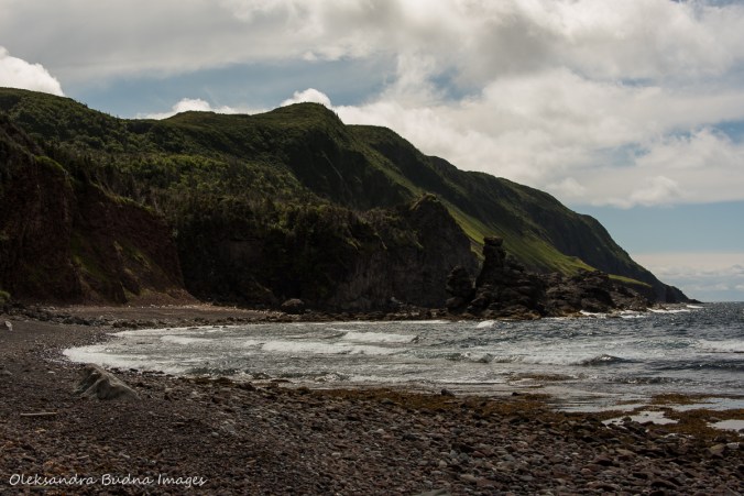 old man cove along the Green Gardens trail in Gros Morne
