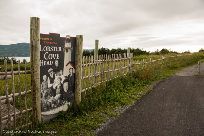 Lobster Cove Head in Gros Morne Park in Newfoundland