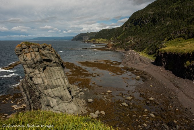 Green Gardens trail in Gros MOrne, Newfouldland