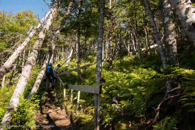 Green Gardens trail in Gros MOrne, Newfouldland