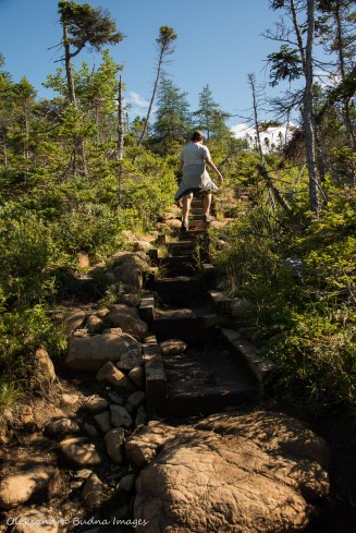 Green Gardens trail in Gros MOrne, Newfouldland