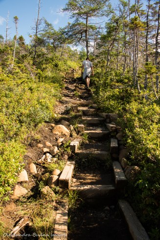 Green Gardens trail in Gros MOrne, Newfouldland