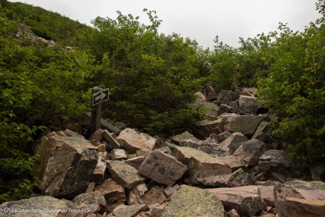 hiking Gros Morne Mountain trail in Newfoundland