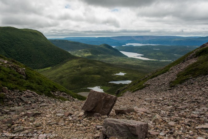 view from Gros Morne Mountain in Newfoundland
