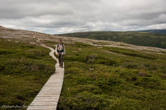 hiking Gros Morne Mountain trail in Newfoundland