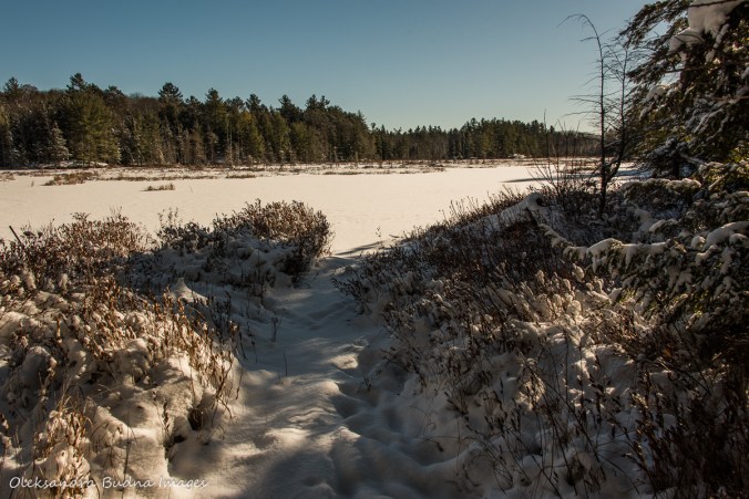 snowshoeing on Bonnie's Pond Trail in Silent Lake Provincial Park