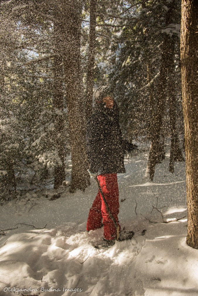 snowshoeing on Bonnie's Pond Trail in Silent Lake Provincial Park