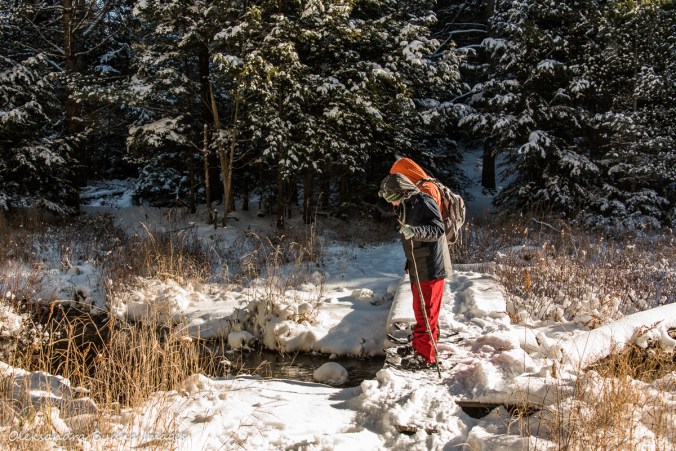 snowshoeing on Bonnie's Pond Trail in Silent Lake Provincial Park