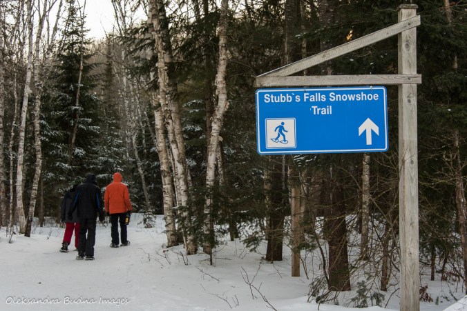 Arrowhead provincial park in the winter
