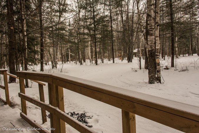 view from cabin 225 at Arrowhead provincial park in the winter
