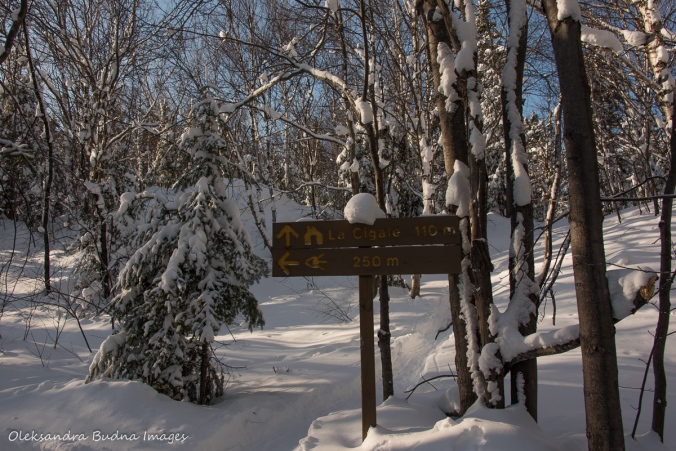 La Cigale sign in Parc National d'Aiguebelle