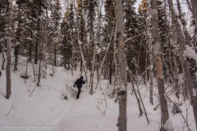 snowshoeing up to La Cigale rustic shelter in parc national d'Aiguebell
