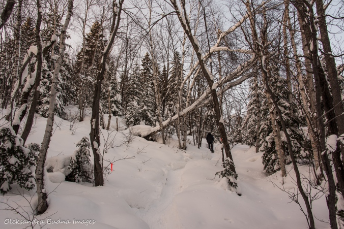 snowshoeing up to La Cigale rustic shelter in parc national d'Aiguebelle