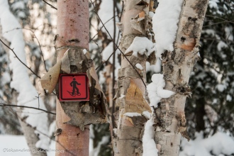 snowshoe trail sign at Parc National d'Aiguebelle