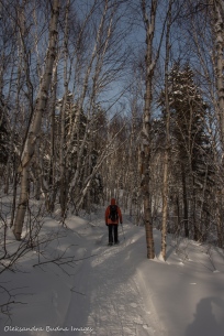 snowshoeing to Lac La Haie in Parc National d'Aiguebelle