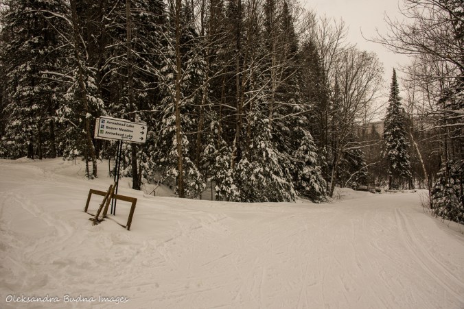 Arrowhead Lake Ski trail in Arrowhead Provincial Park