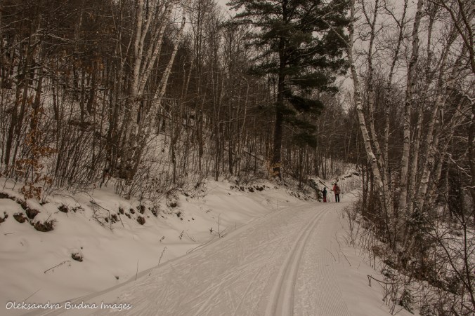 Arrowhead Lake Ski trail in Arrowhead Provincial Park