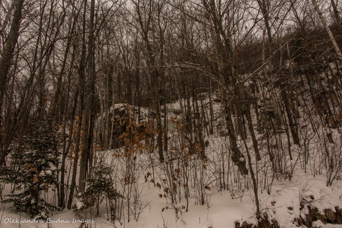 rocky ridge in Arrowhead Provincial Park in the winter