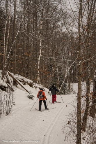 Arrowhead Lake Ski trail in Arrowhead Provincial Park