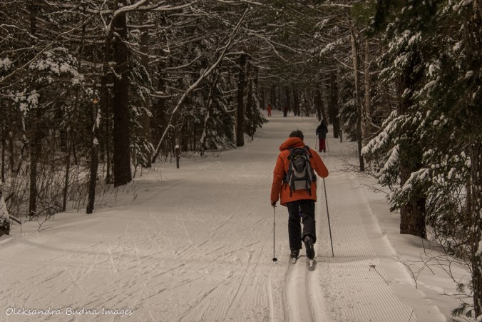 cross-country skiing in Arrowhead Provincial Park