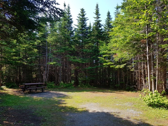 campsite at Berry Hill campground in Gros Morne