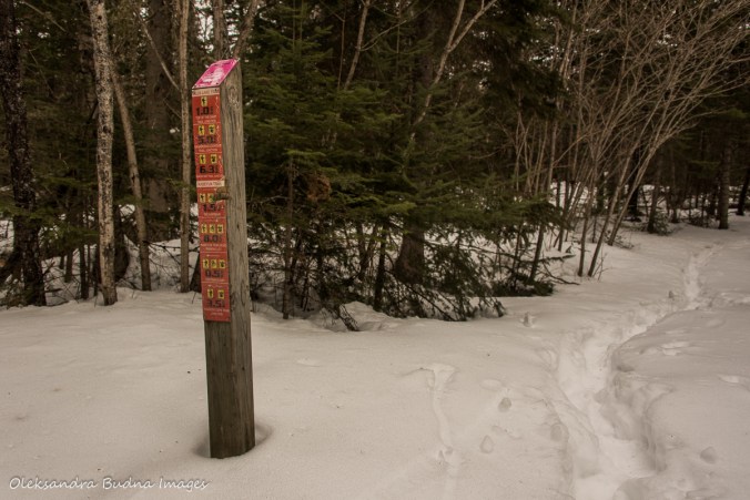 Kabeyun trail in Sleeping Giant provincial park in the winter