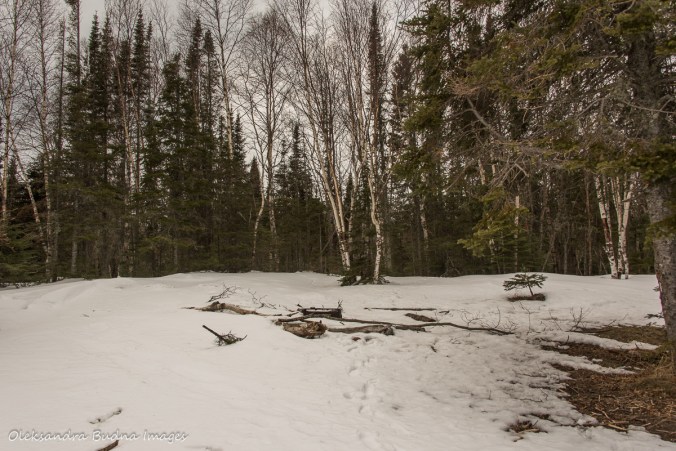backcountry campsite at the Tee Harbour in Sleeping Giant Provincial Park in the winter