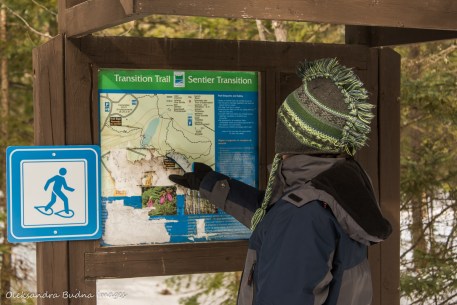 looking at the map of Transition Trail while snowshoeing at Windy Lake Provincial Park