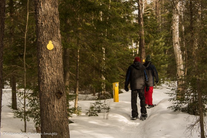 snowshoeing at Windy Lake Provincial Park