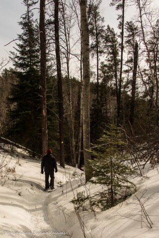 snowshoeing at Windy Lake Provincial Park