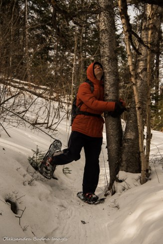hugging a tree while snowshoeing at Windy Lake Provincial Park