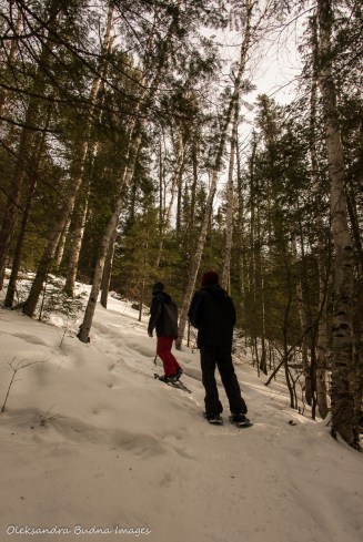 snowshoeing at Windy Lake Provincial Park