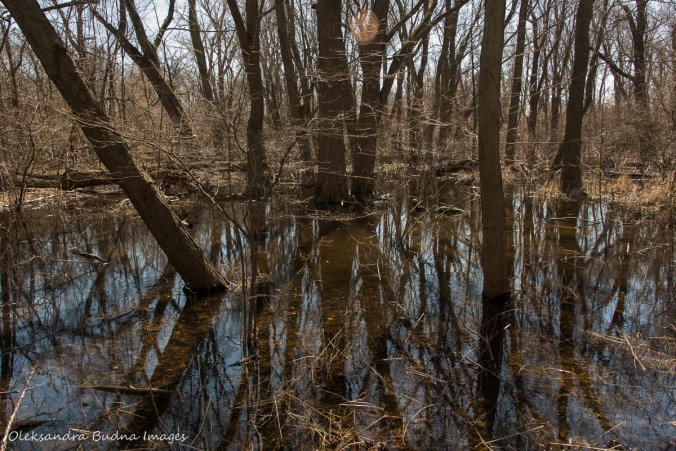 Poitn Pelee national park in the spring