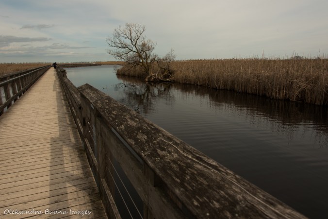 March boardwalk at Point Pelee