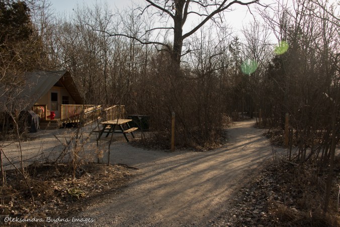 oTENTiks at Point Pelee