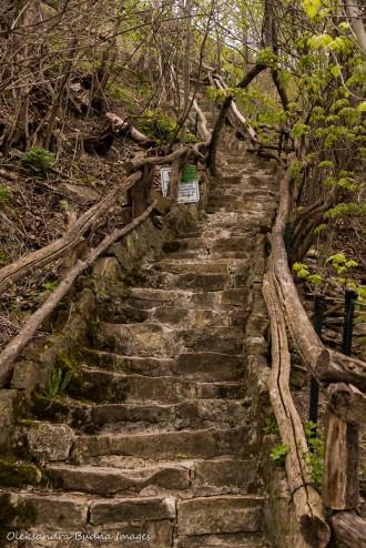 Uli stairs in hamilton