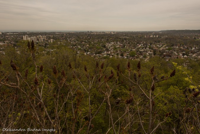 view of Hamilton from the Escarpment