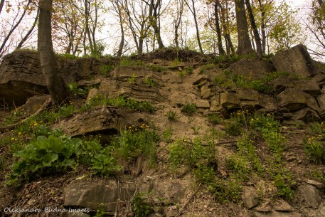 Niagara Escarpment in Hamilton